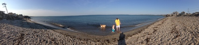 homepage_2013.JPG